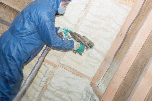 Professional Insulation in Lake Zurich, IL